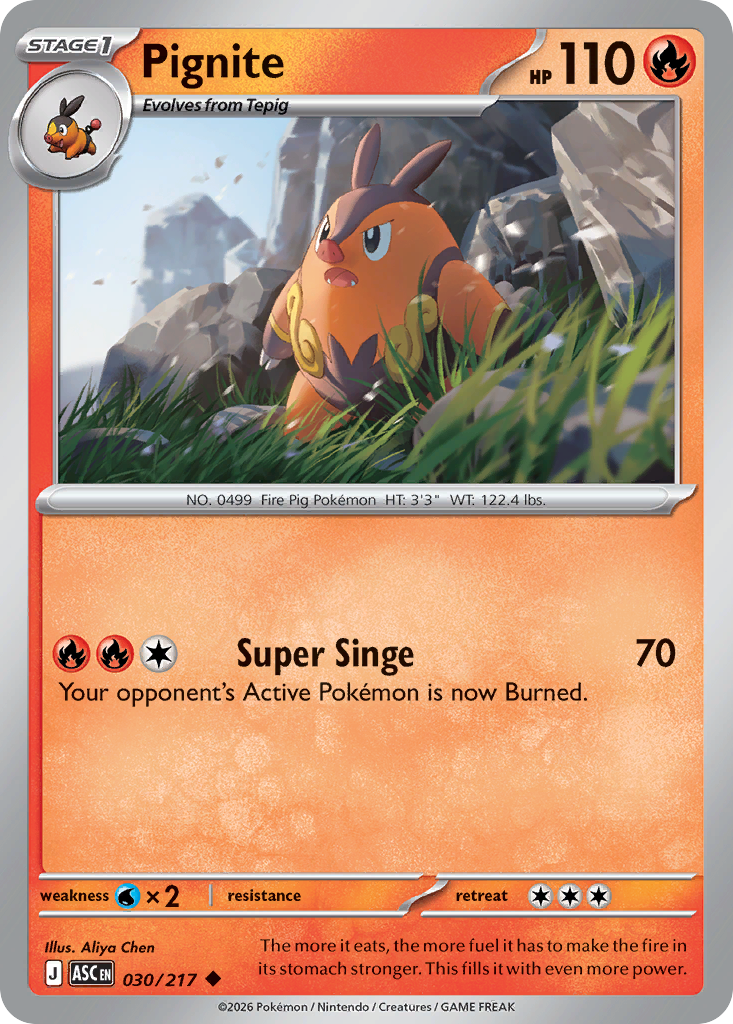 Reverse Holofoil